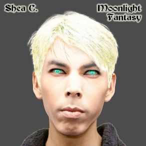 Download track Blade (Moonlight Fantasy) Shea C