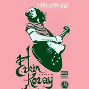 Download track Hay - Yam - Yam Erkin Koray