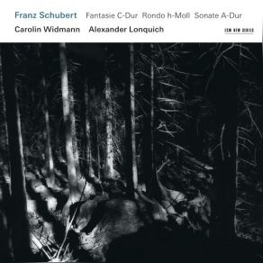 Download track 01 - Fantasie C-Dur Op. Posth. 195 - D 934- Andante Molto Franz Schubert