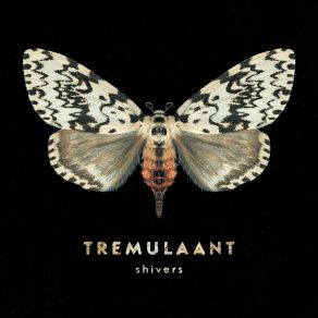 Download track Low Profile Tremulaant