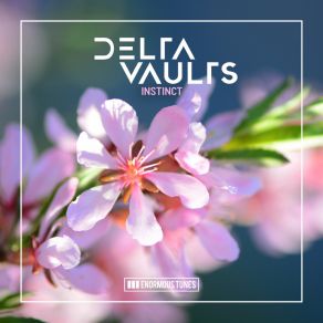 Download track Instinct (Extended Mix) Delta Vaults
