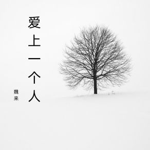 Download track 该向谁倾诉 Wei Lai