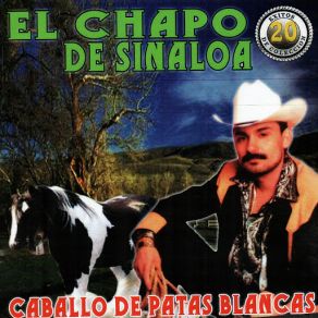 Download track Un Rancho De La Sierra El Chapo De Sinaloa