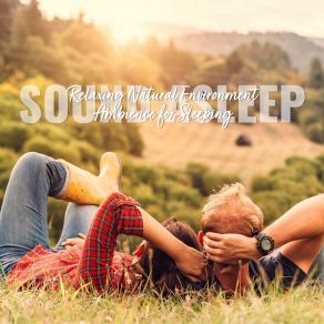 Download track Relaxing Natural Environment Ambience For Sleeping, Pt. 17 Elijah Wagner