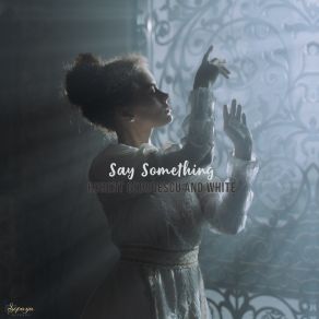 Download track Say Something (Radio Edit) The White