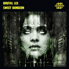 Download track Empty City Brutal Lex