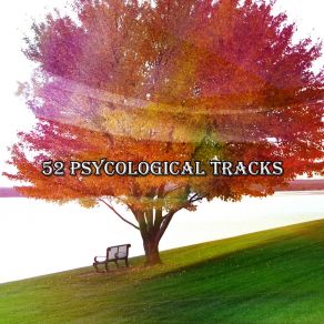 Download track Find Wisdom White Noise Meditation