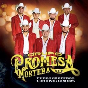 Download track Organizador De Jaripeos Promesa Norteña De San Luis