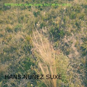 Download track Hans Hans Nuñez Suxe