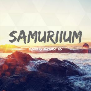 Download track Anthem (Remix) Samuriium