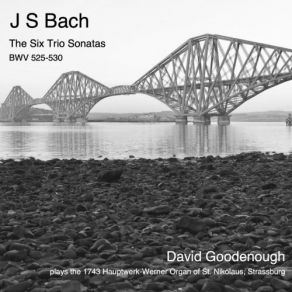 Download track Trio Sonata No. 4 In E Minor, BWV 528: I. Adagio - Vivace David Goodenough