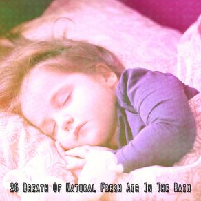 Download track Fierce Storm Rain For Deep Sleep