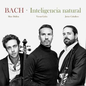 Download track Bach, J. S. Flute Sonata In E. Major, BWV 1035 III Siciliano Javier Caballero, Marc Bullon, Vicent Gelos