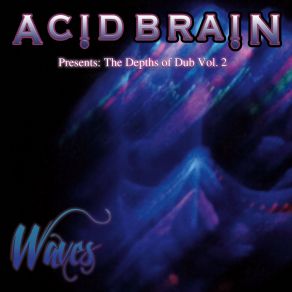 Download track The Red Desert AcidBrain