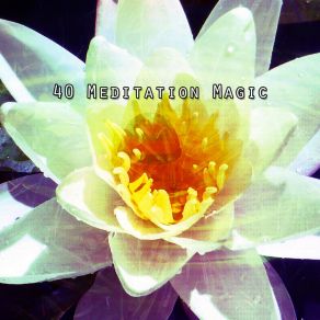 Download track Open To The World Yoga Music