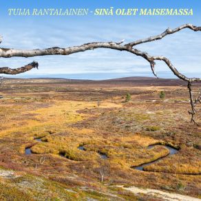 Download track Kaikki Syksyn Värit Tuija Rantalainen