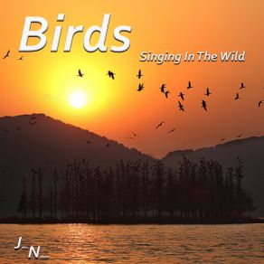 Download track Chirping Birds John Nature