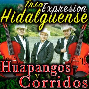 Download track Corrido De Baltazar Trio Expresion Hidalguense