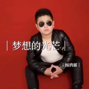 Download track 梦想的光芒 (伴奏) 杨汭霖