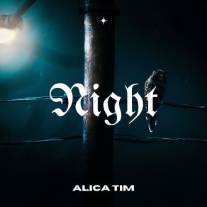 Download track One Night Alica Tim