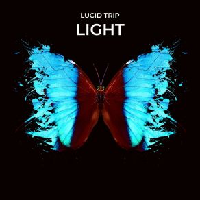 Download track Light (Radio Edit) Lucid Trip