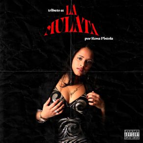 Download track Reggaeton Caliente Rosa Pistola