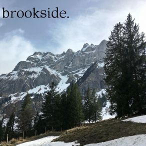 Download track Denver Brookside