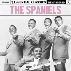 Download track You Gave Me Peace Of Mind Spaniels