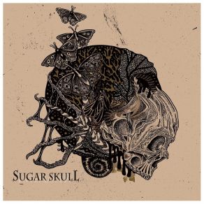 Download track Pills Sugar Skull