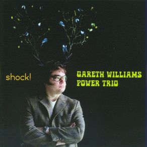 Download track Zed Blues Gareth Williams Power Trio