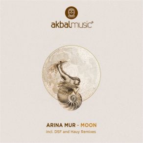 Download track Moon (Hauy Remix) Arina MurHauy