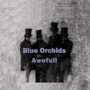 Download track The Unknown (Demo) The Blue Orchids