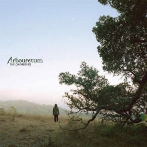 Download track The White Bird Arbouretum