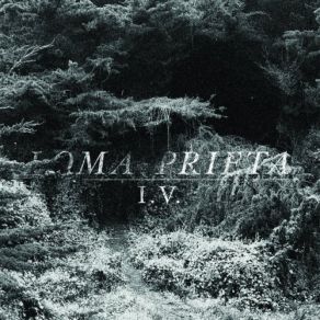 Download track Biography Loma Prieta