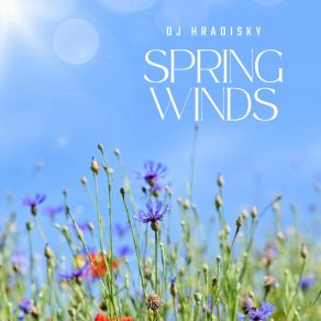 Download track Melody For Us Dj Hradisky