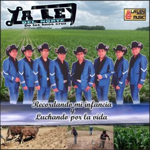 Download track Mi Tesoro La Ley Del Norte De Los Hnos Cruz