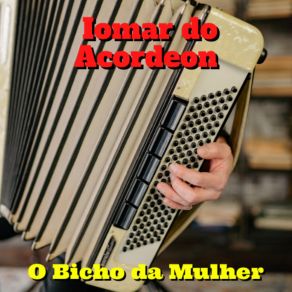 Download track Meu Bem Iomar Do Acordeon