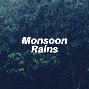 Download track Rain For Meditation, Pt. 3 Heavy Rain Sounds