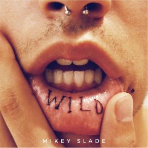 Download track Ave It Mikey Slade