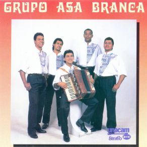 Download track Como Eu Queria Grupo Asa Branca