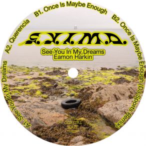 Download track Once Is Maybe Enough Eamon Harkin