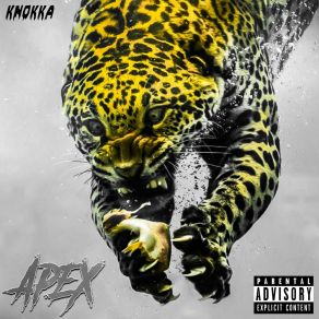 Download track Intro Knokka