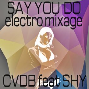 Download track Say You Do (Electro Mixage) Shy, Cvdb