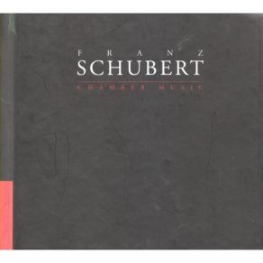 Download track 04. D898 - IV. Rondo: Allegro Vivace Franz Schubert