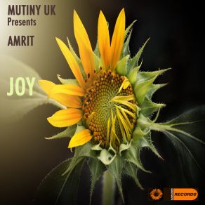 Download track Joy Amrit