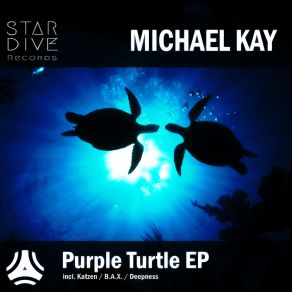 Download track Purple Turtle (Katzen Remix) Michael KayKatzen