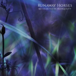 Download track House In The Woods Runaway Horses