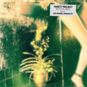 Download track Multilevel Music (Romain FX Remix) The Vanity Project