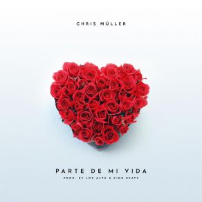 Download track Parte De Mi Vida Chris Muller