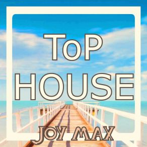 Download track Ecstasy (Electro House) JOY MAXElectro House